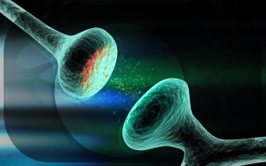 ischemia2